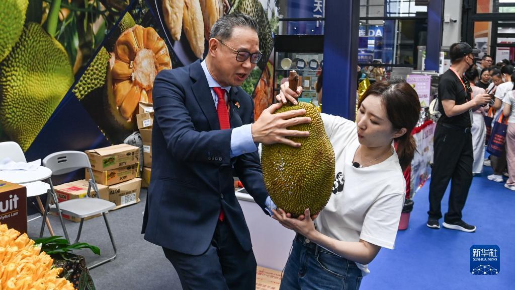 九星娱乐下载